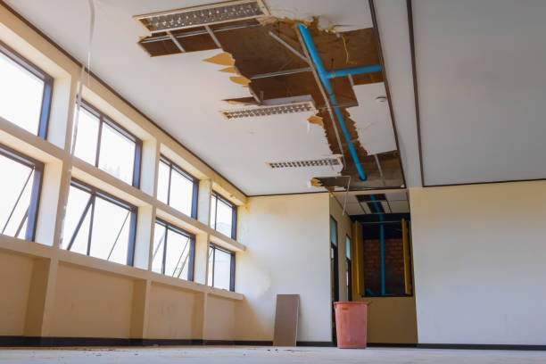 Best Water damage contractors near me  in Manhattan, MT