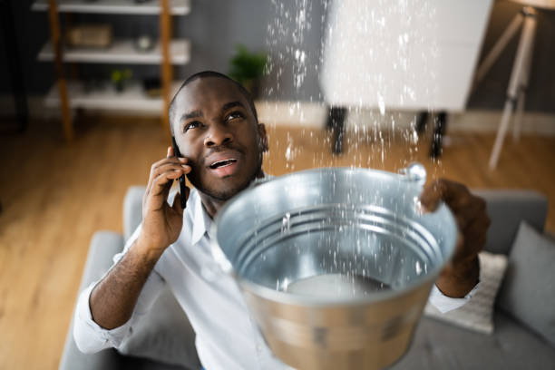 Best Water damage restoration cost  in Manhattan, MT