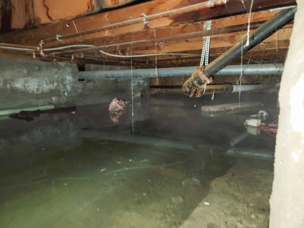 Best Flooded house restoration  in Manhattan, MT