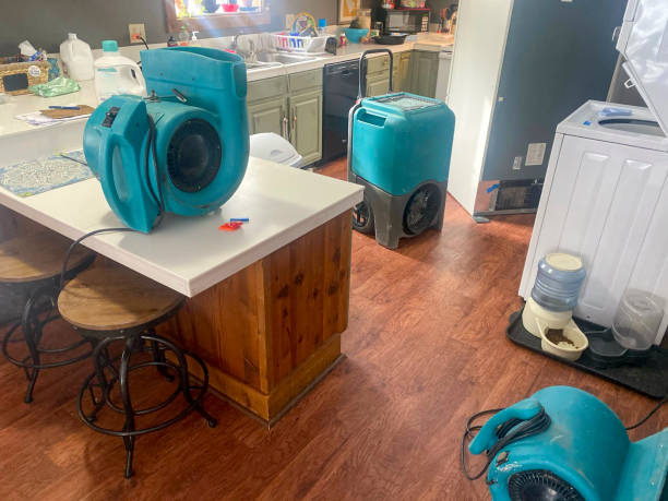 Best 24-hour water damage restoration  in Manhattan, MT