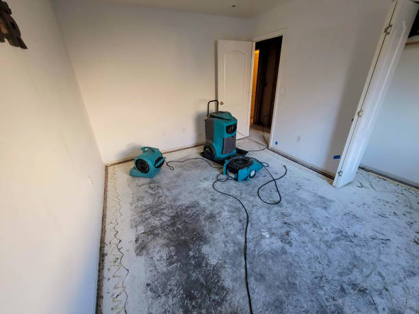 Best Water damage restoration near me  in Manhattan, MT