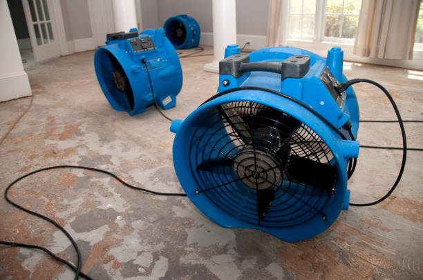 Best Fire Damage Restoration  in Manhattan, MT