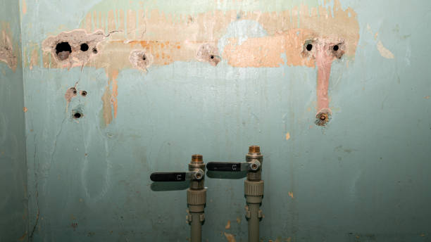 Best 24/7 water damage repair  in Manhattan, MT