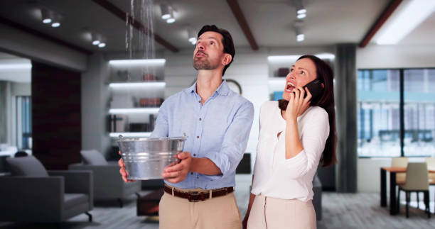 Best Sewage cleanup and water damage restoration  in Manhattan, MT
